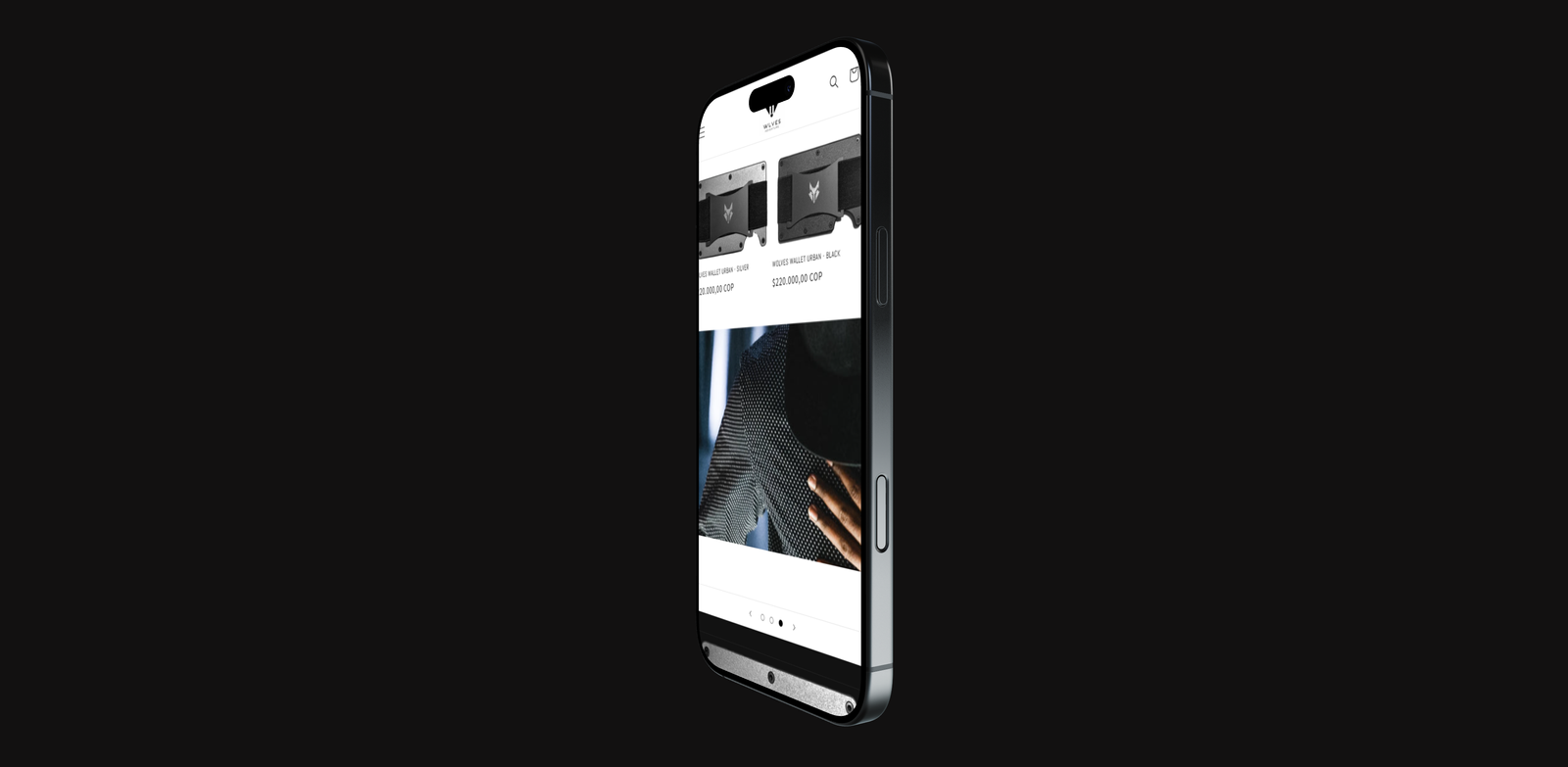 Fraser App Interface 2